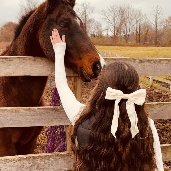 A rescued farm animal at Blue Iris Farm