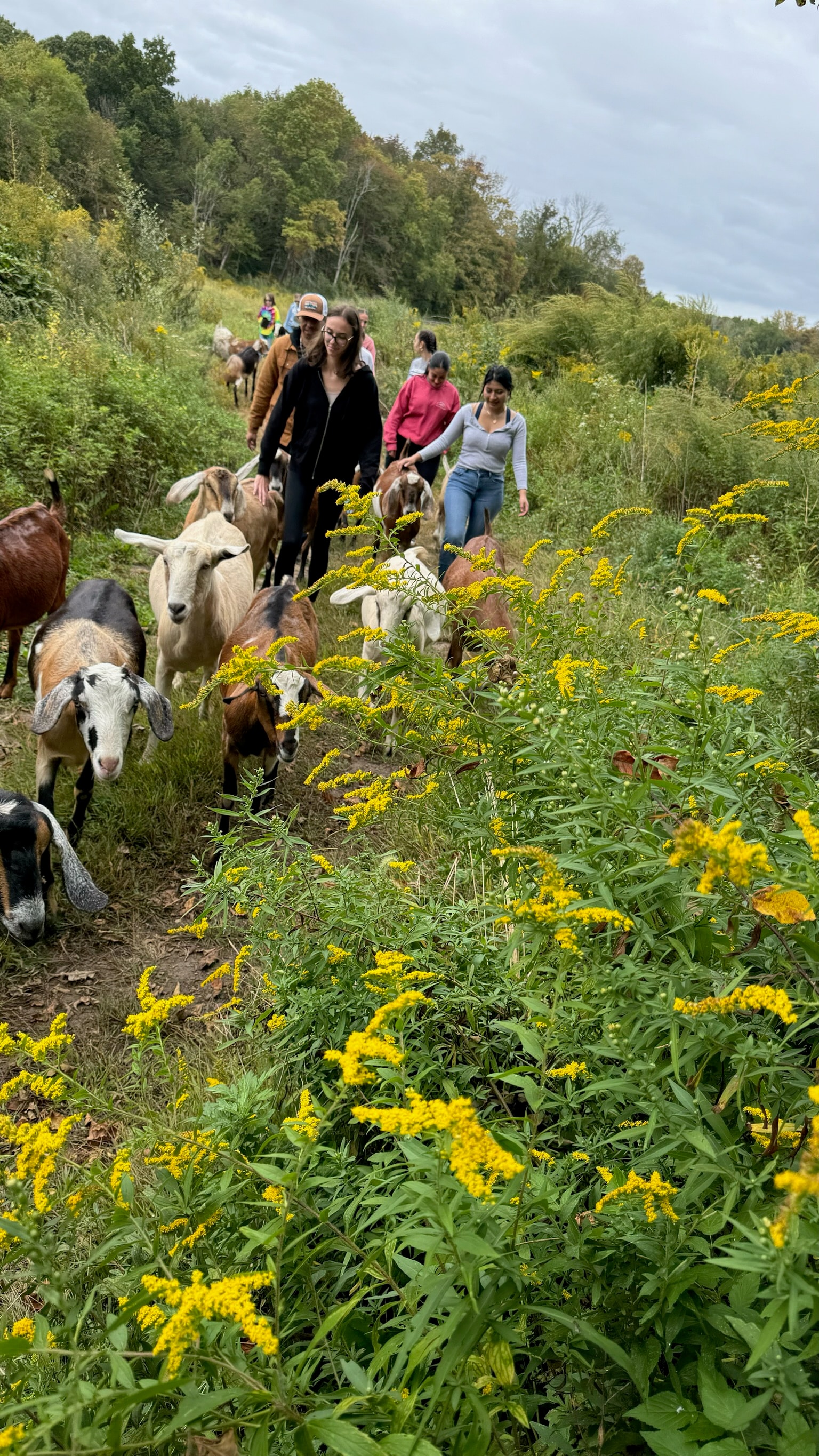Farm Tour