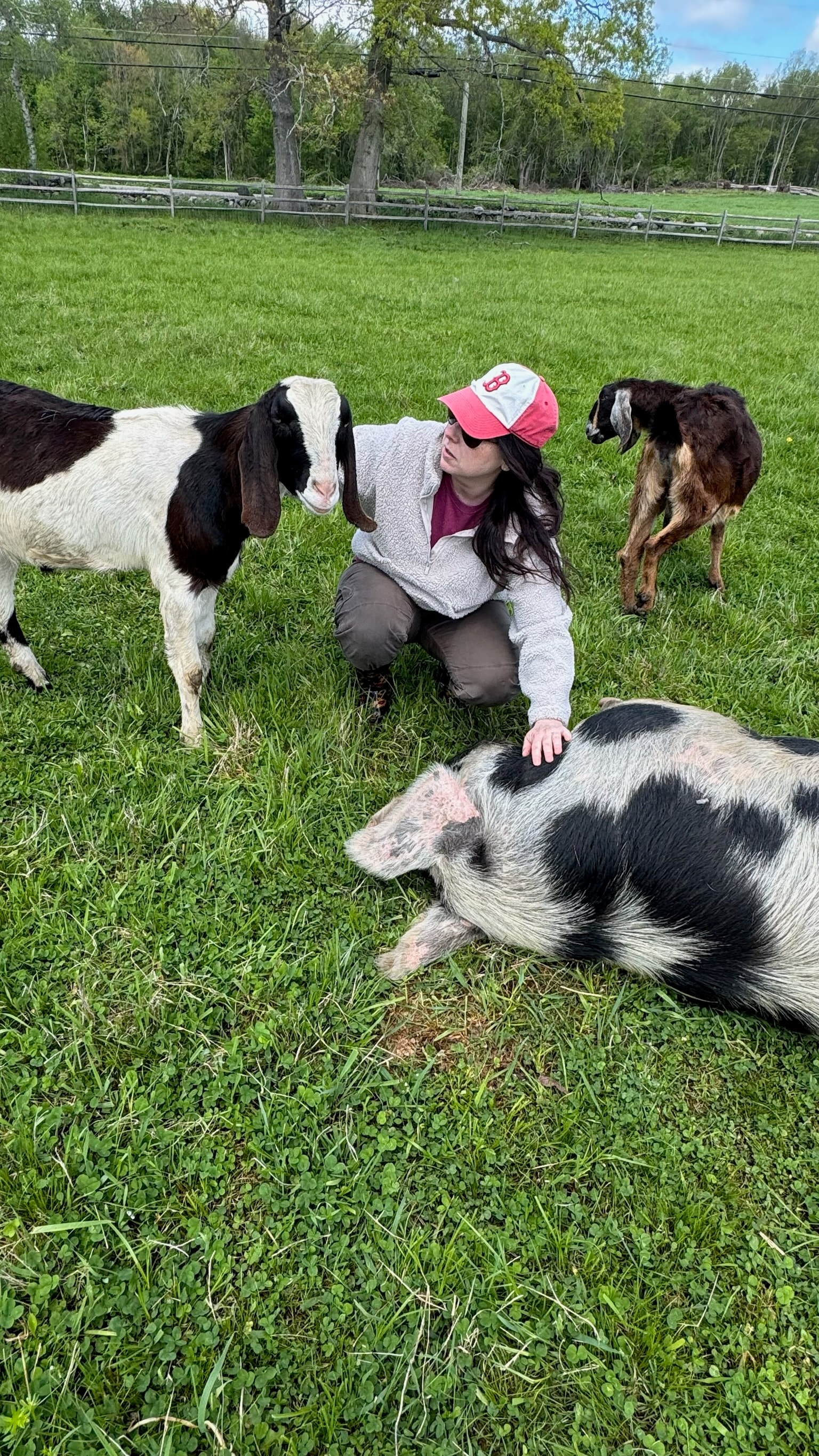 Visitor with goats at Blue Iris Farm