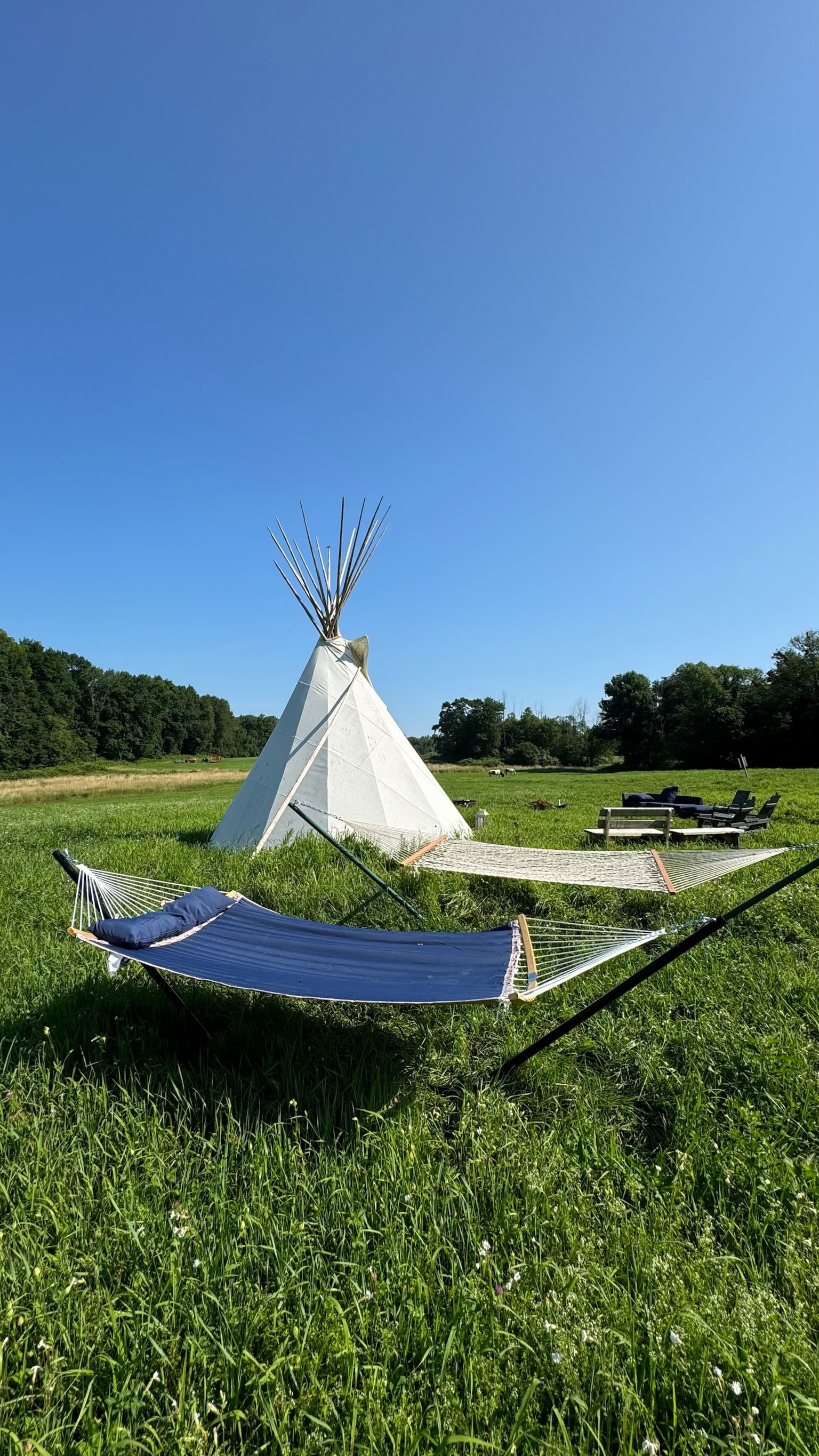 Tipi and hammock at Blue Iris Farm