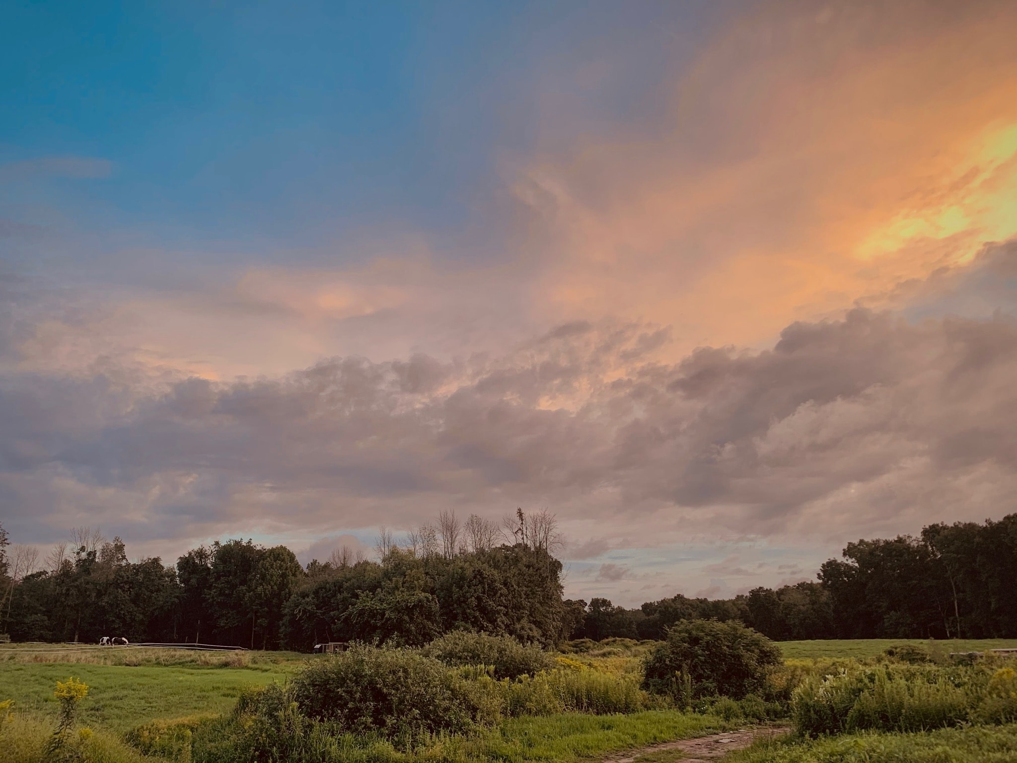 Rural landscape with a dramatic sunset sky