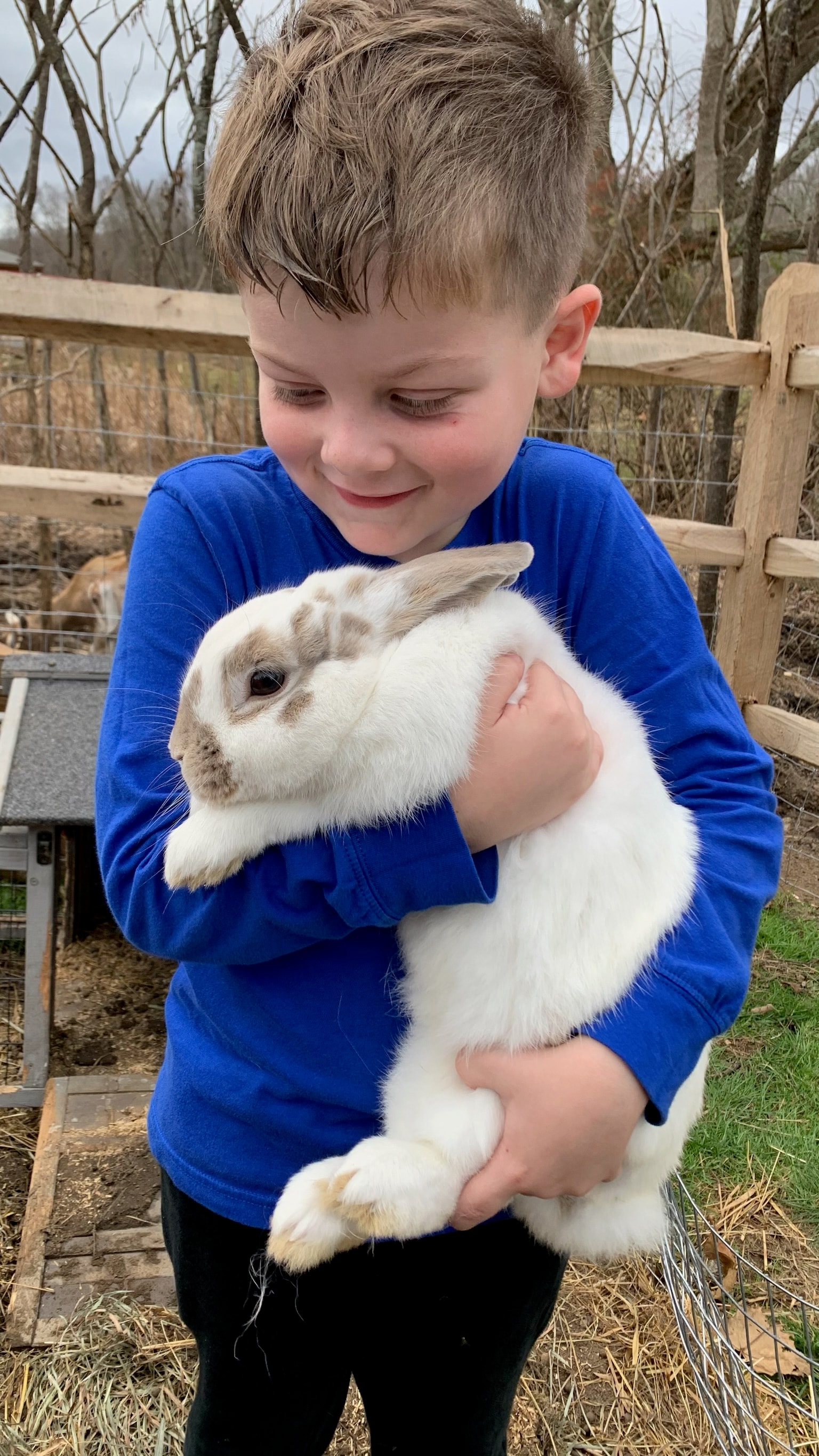 Snowball & Therapy Bunnies
