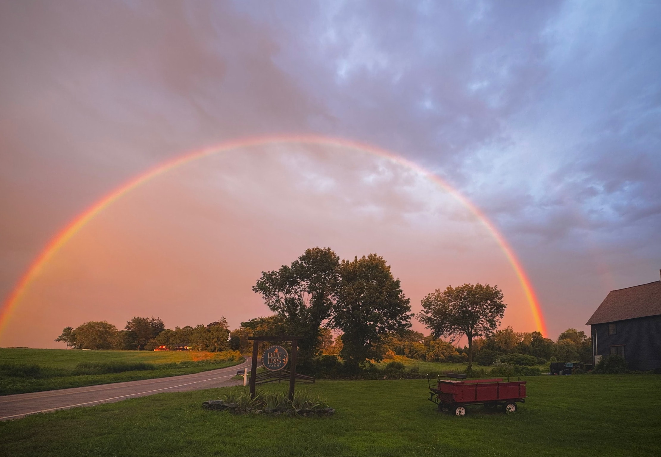 Rainbow arching over the Blue Iris Farm fields