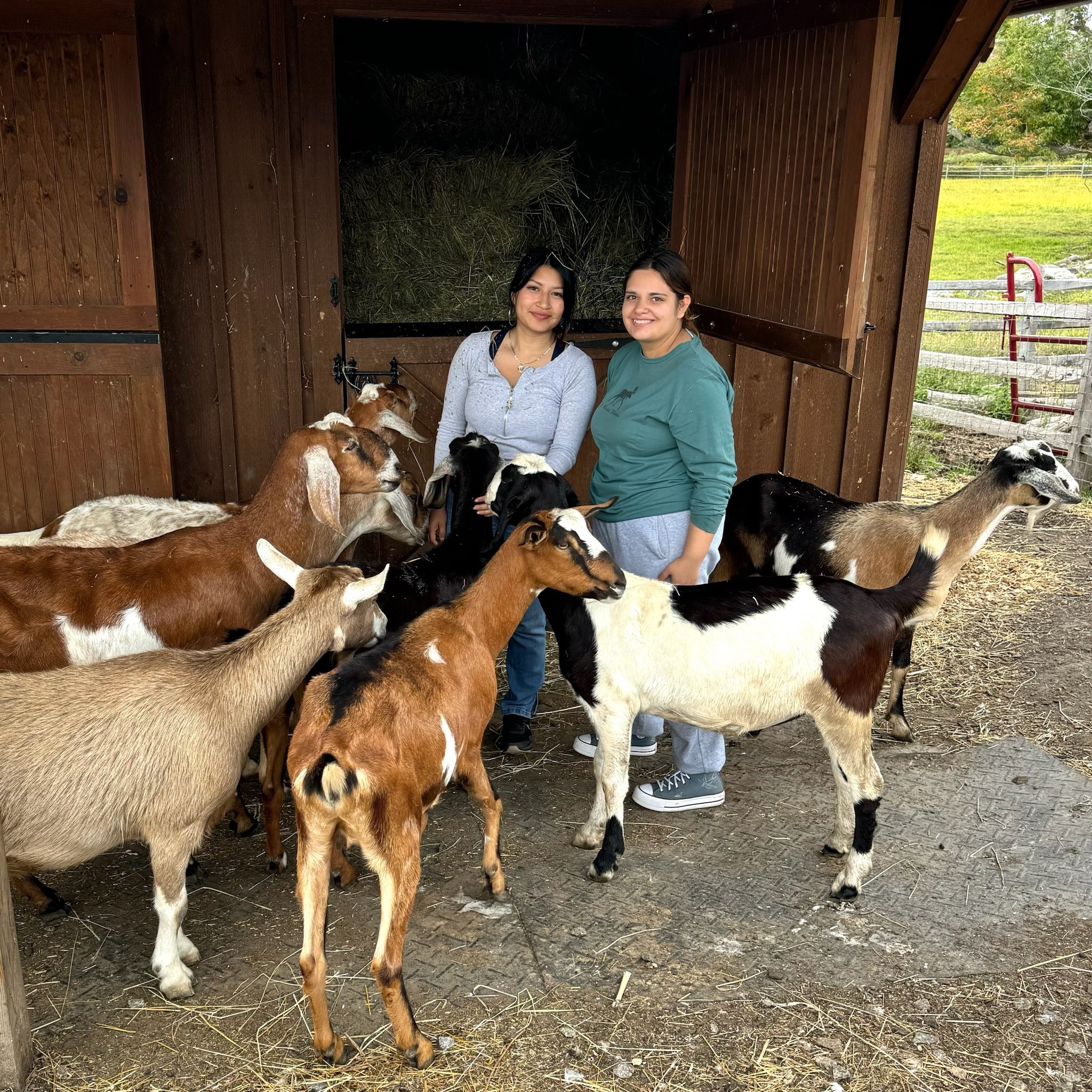 Visitors at Blue Iris Farm